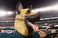 Philadelphia Dog Masks